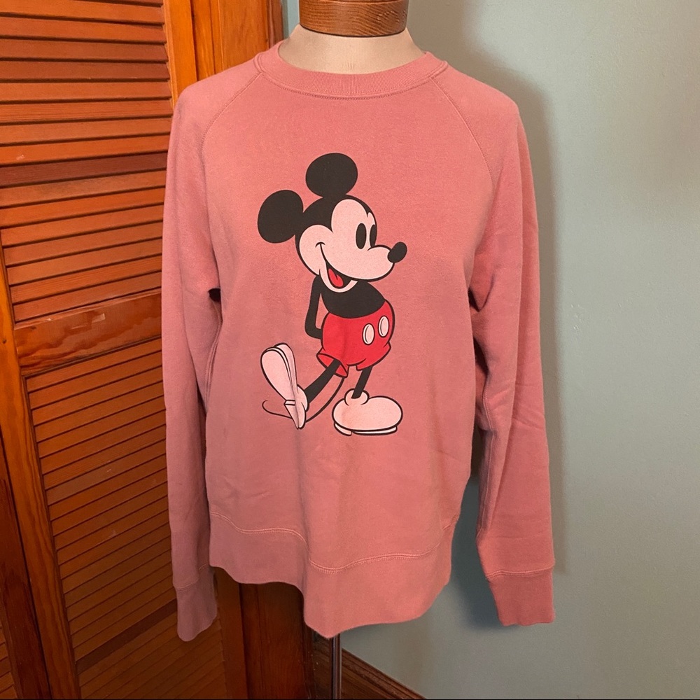 Disney Mickey Stands Hoodie